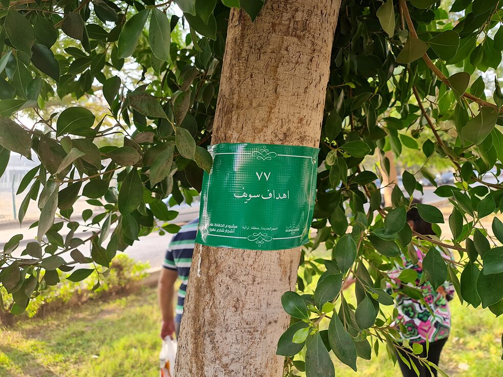 نظرا لترقيم الأشجار، نجحت المبادرة في إنقاذ أشجار متعددة في حديقة ميريلاند في مصر الجديدة.