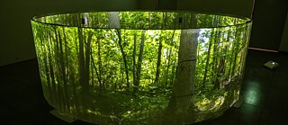 Umělecká instalace SILVA