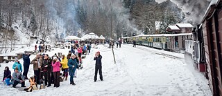 Letzte dampfbetriebene Schmalspurbahn im rumänischen Oberwischau