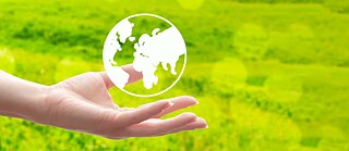 Freitagsclub: Nachhaltigkeit