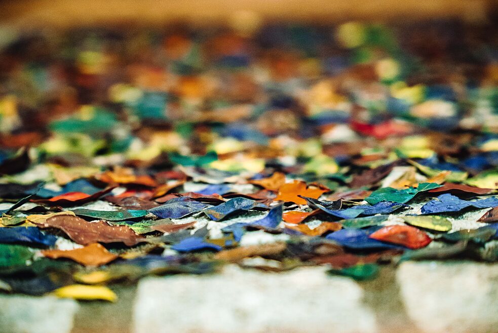 "3333 coca-blätter" (2021) von Maximiliano Siñani