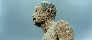Profilansicht des mit Reiskörnern bedeckten Kopfes und Schulter eines Mannes vor blauem Himmel