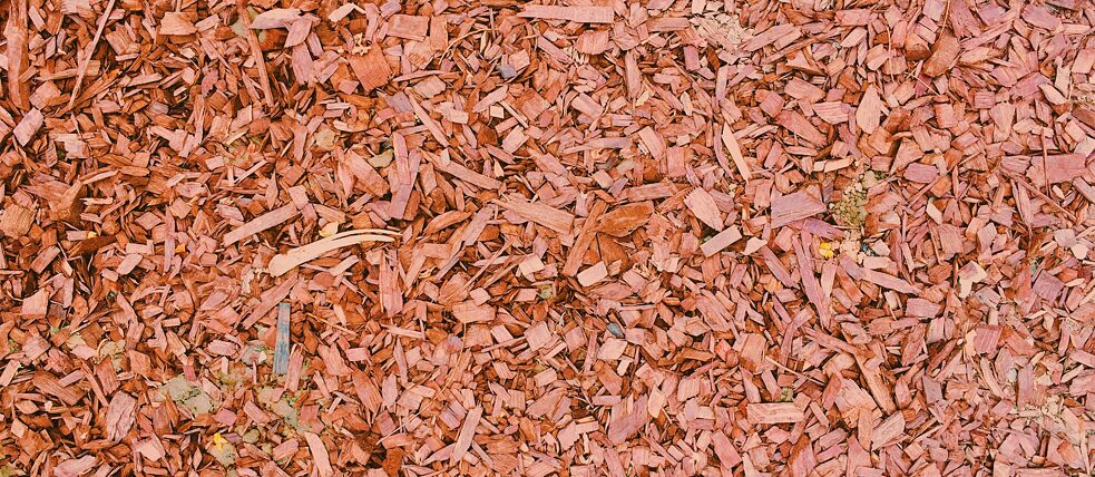 Red wood chips close up