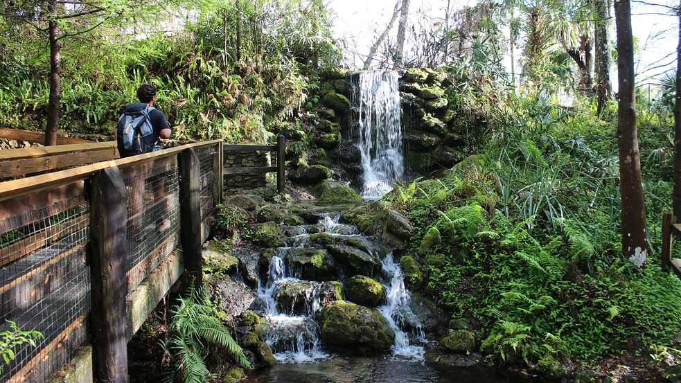 A manmade waterfall at Rainbow Springs