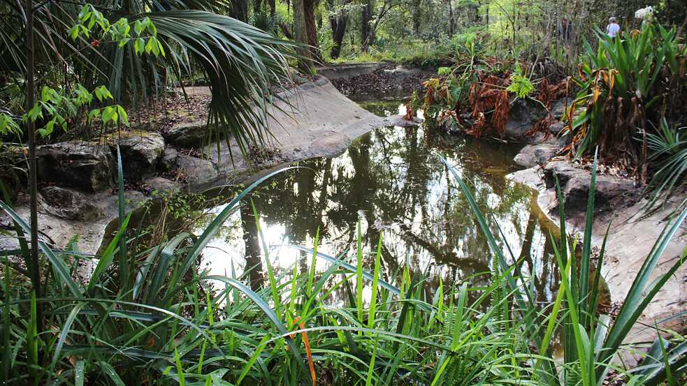 An abandoned animal enclosure at Rainbow Springs