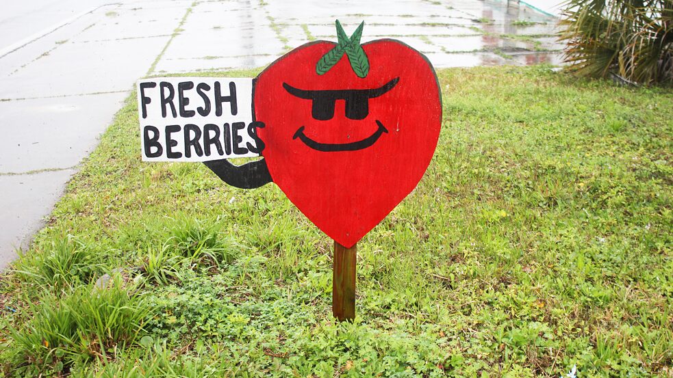 Un letrero hecho a mano para vender fresas
