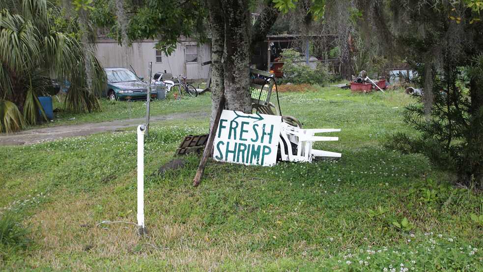 A handmade sign for fresh shrimp