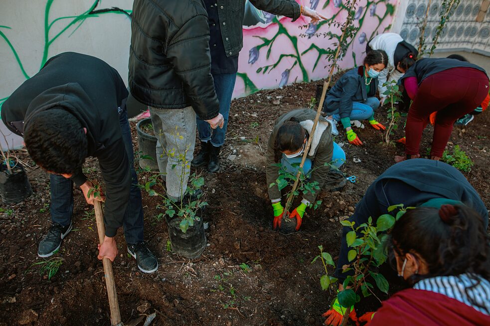 Les élèves plantent des plantes dans la terre.