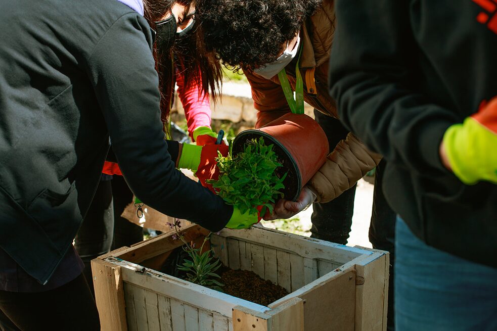 Des mains des élèves plantent un pot de fleurs fait de palettes.