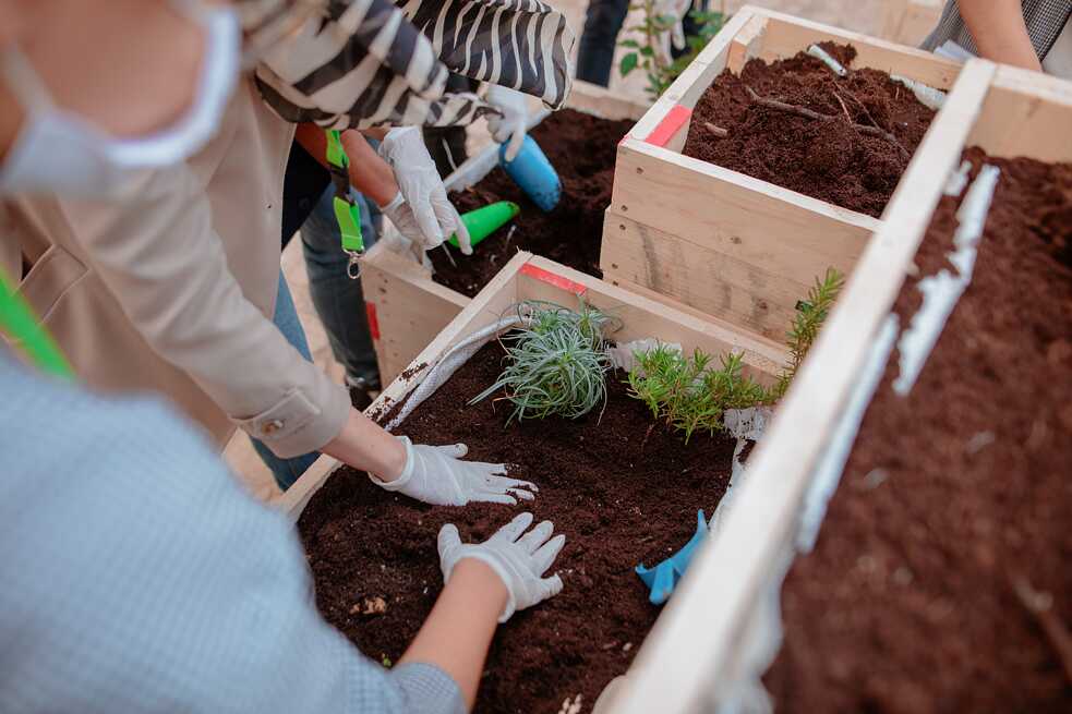 Mains des élèves qui plantent un pot de fleurs fait de palettes.