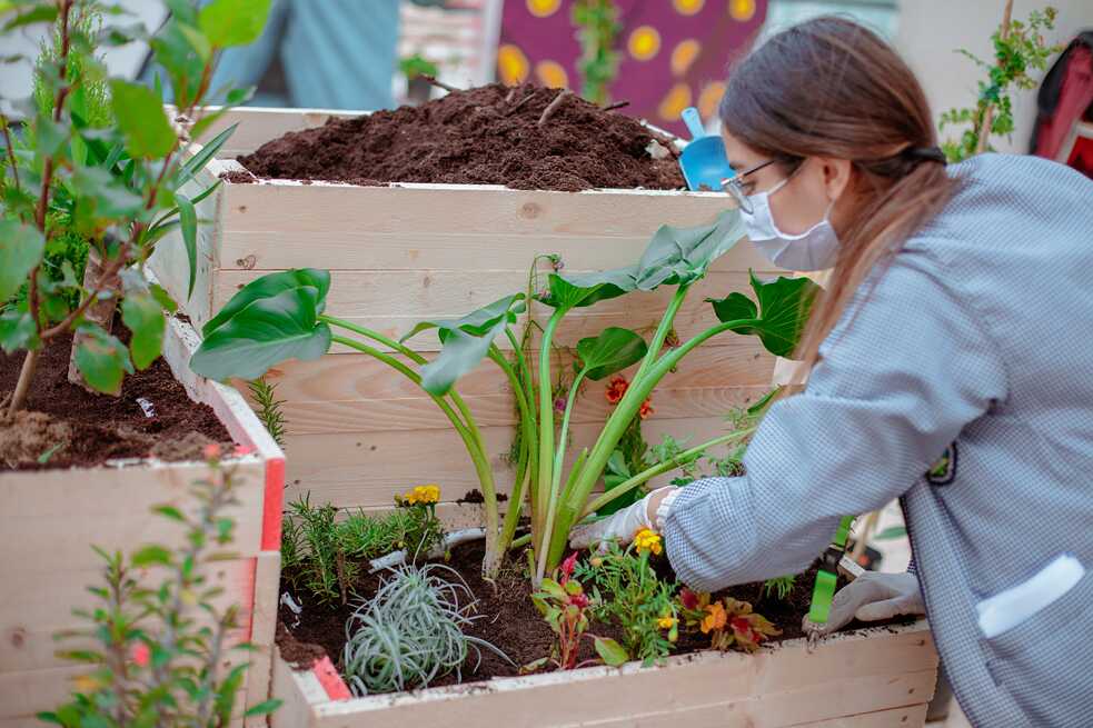 Une jeune élève tasse la terre dans le pot de fleurs.