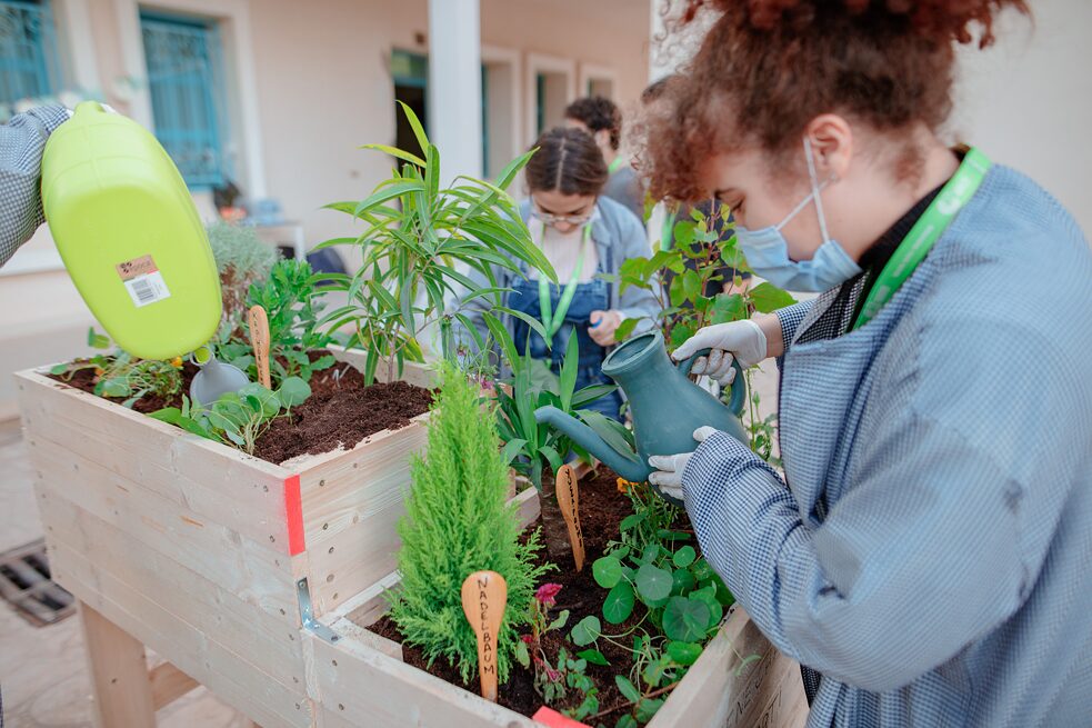 Les élèves arrosent les plantes.