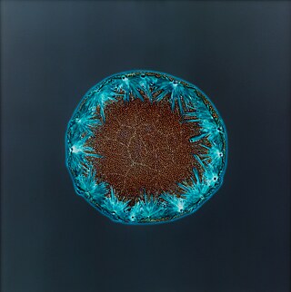 Sarah Schönfeld, All You Can Feel/ Planets, Ketamine, 2013, Ketamin auf Fotonegativ, vergrößert als C-Print, 70 x 70 cm 