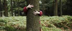 ARTicol ecologie