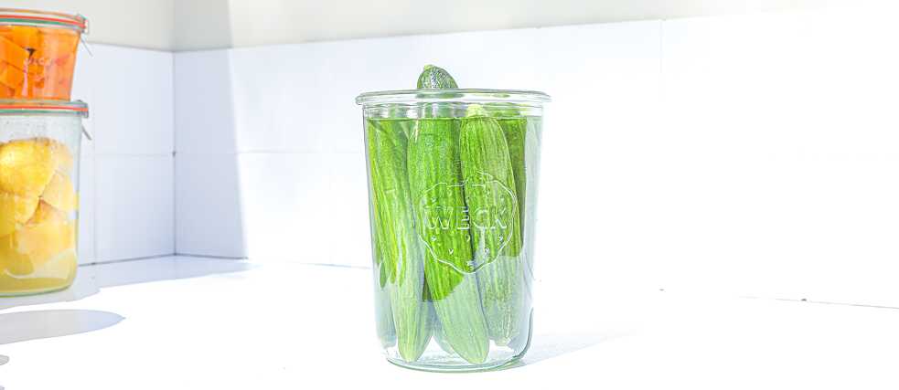 Pickling Cucumbers