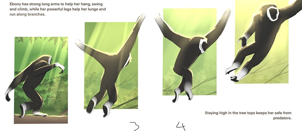 Eine gezeichnete Serie von Bildern, die einen durch die Luft springenden Gibbon zeigen