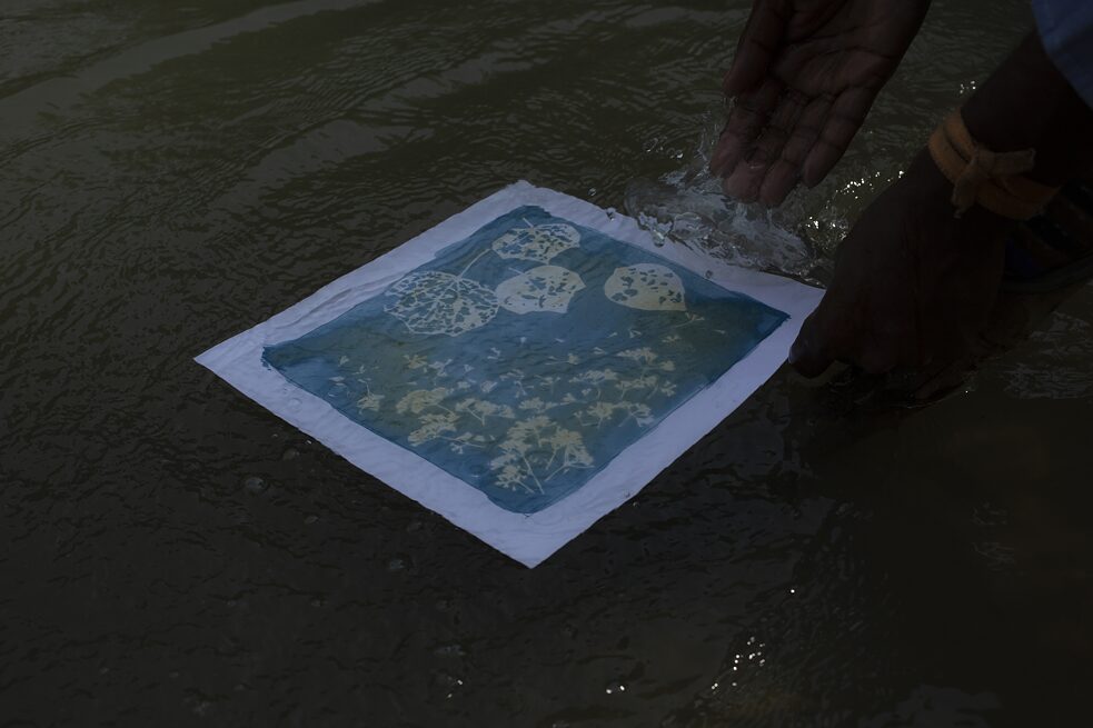   Cyanotype printing process (alternative photography printing process) conducted by a workshop participant 