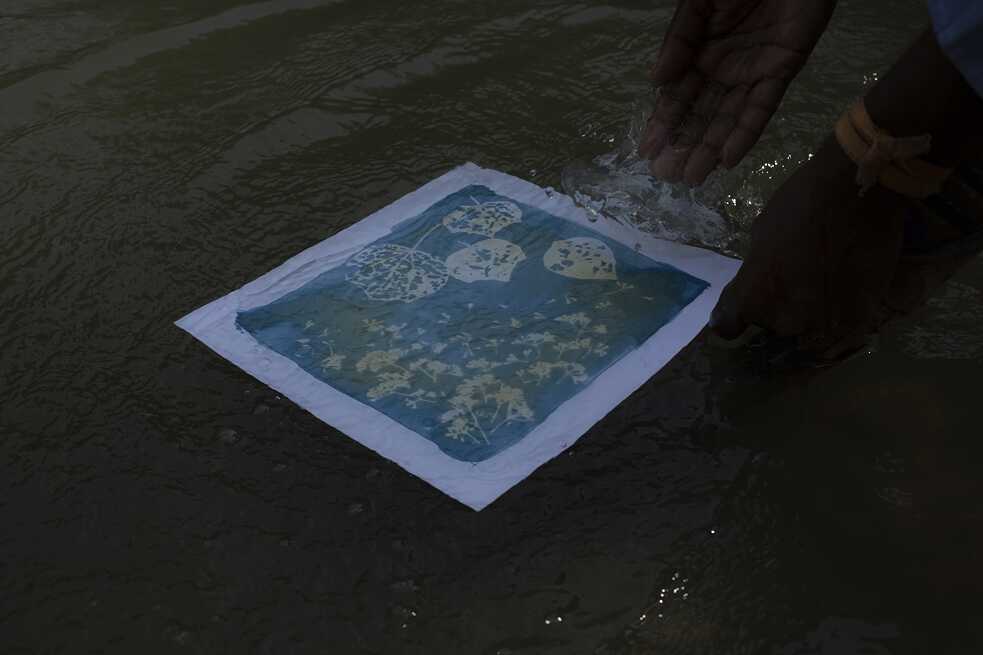   Cyanotype printing process (alternative photography printing process) conducted by a workshop participant 