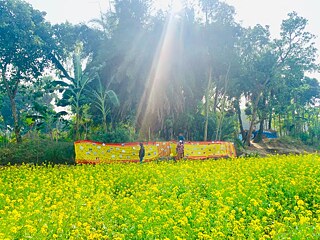  The exhibition took place near the village on a busy path 