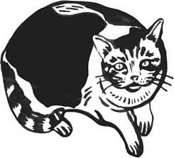 Logo Pitzilein Books