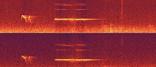 Fernando Matus de la Parra_Espectograma