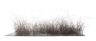 Iris Eichenberg - Field 2022 