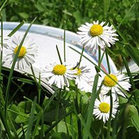 Sommer in der Bibliothek 1 © Oleg – stock.adobe.com_207421864
