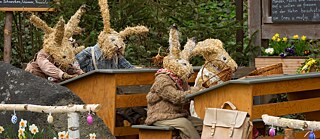 Vier Hasen geformt aus Stroh sitzen auf draußen aufgestellten Schulbänken.