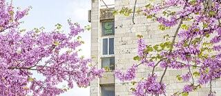 Goethe-Institut Jerusalem