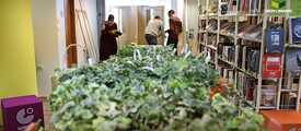 Green Libraries Reuse Project, Goethe-Institut Tel Aviv