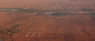 Areal view of desert lanscape, with river surrounded by trees.