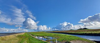 Green landscape, with view of the Wadden Sea, fence, blue sky, and clouds.