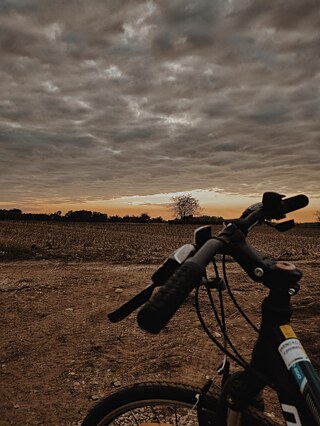 „Freiheit“ von Lara A. aus Slowenien