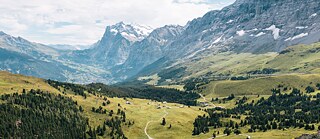 View of green lush valley, surrounded by mountains in Wengen, Switzerland.