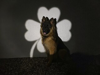 „Selbstlose Freude“ von Wanesa P. aus Polen