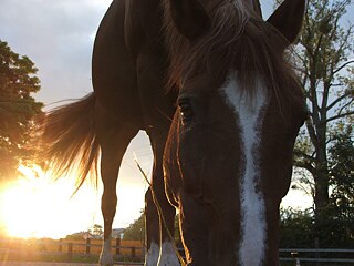 „Sonnenuntergang“ von Barbara K. aus Polen