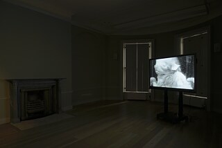 "Neither an Overview nor a Close-up" (2022) by Nicole Khadivi