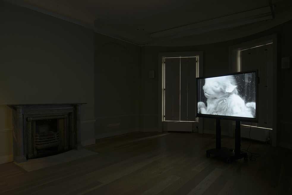 "Neither an Overview nor a Close-up" (2022) by Nicole Khadivi