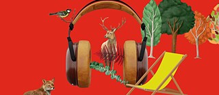 Audioliege Waldgänger