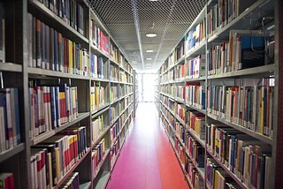 Die Bücherregale fügen sich in die organischen Formen des Gebäudes ein. Der Bodenbelag ist auch hier geprägt von der markanten Farbgebung im Gebäudekern. 