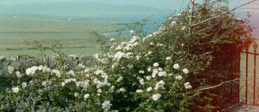 Filmstill aus „Glimpses from a Visit to Orkney in Summer 1995“