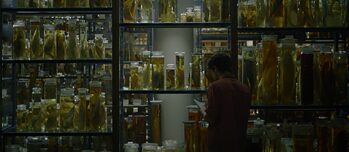 Filmstill aus „Afterwater“ von Dane Komljen, 2022