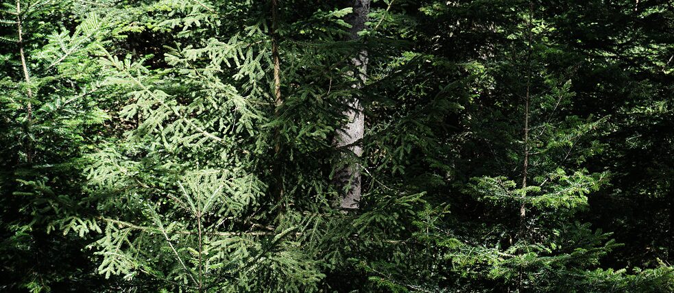 Filmstill aus „The Capacity for Adequate Anger“ von Vika Kirchenbauer, 2022