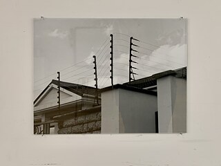 "Prabon Greenfields" (2022) by Paul Haas