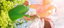 A woman with a watering can