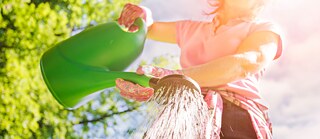 Eine Frau gießt mit einer Gießkanne. © © Adobe Stock Gießkanne