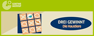 Drei Gewinnt – die Haustiere