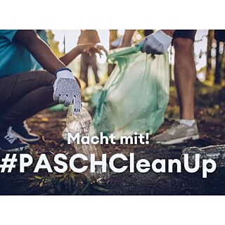 paschcleanup