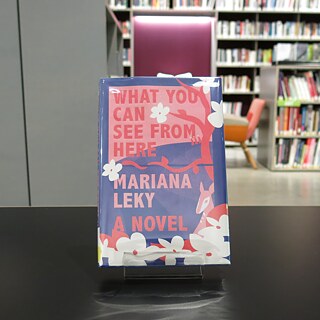 Mariana Leky What You Can See From Here 