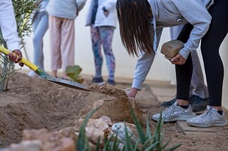 Schools go Green with Goethe